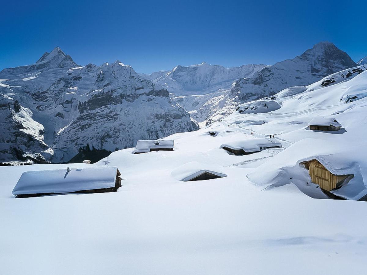 Apartment Chalet La Muntaniala Grindelwald Extérieur photo