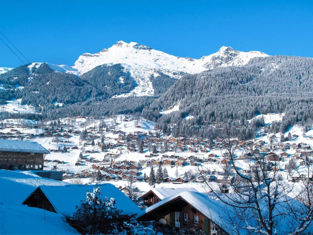 Apartment Chalet La Muntaniala Grindelwald Extérieur photo