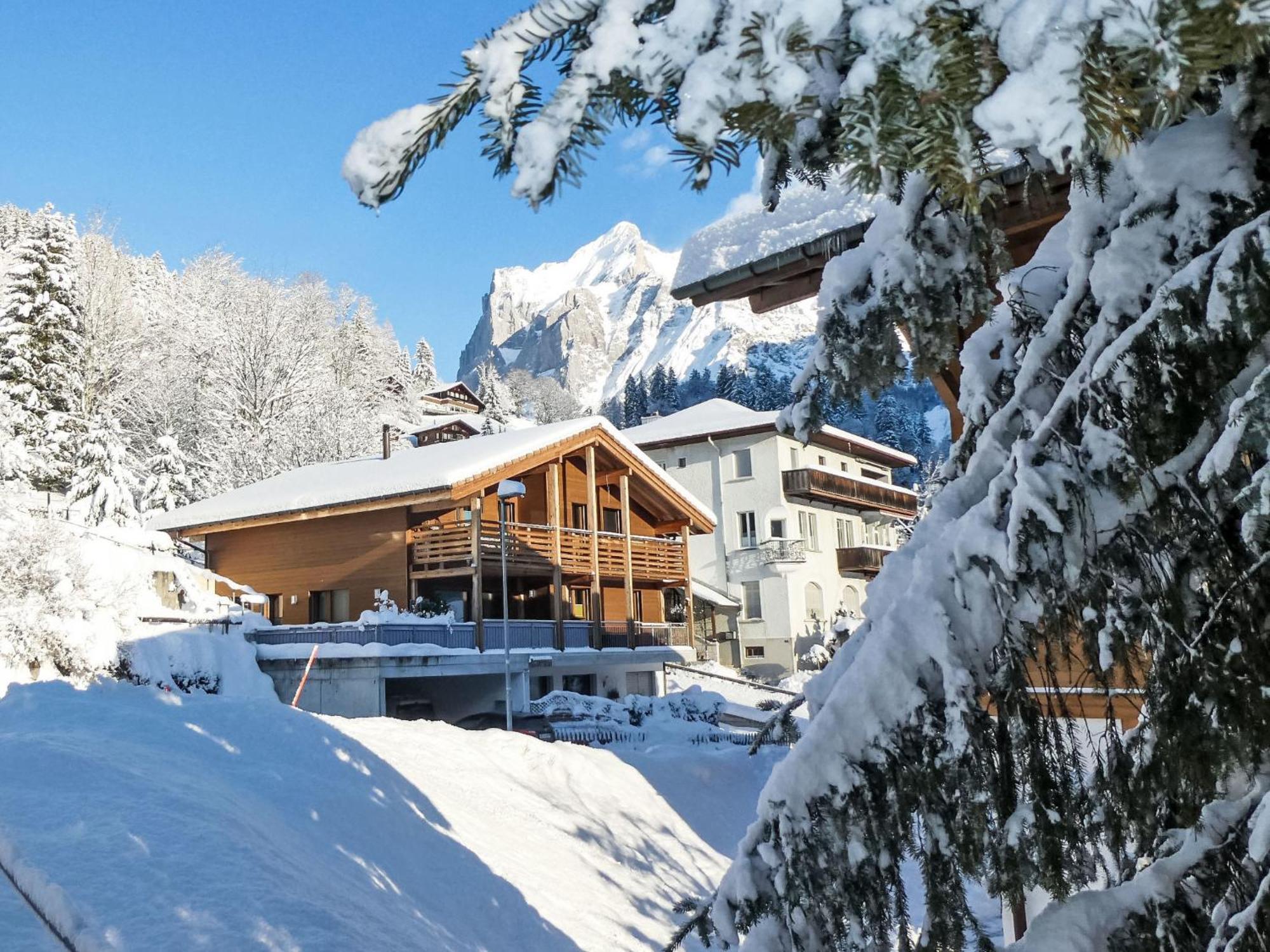 Apartment Chalet La Muntaniala Grindelwald Extérieur photo